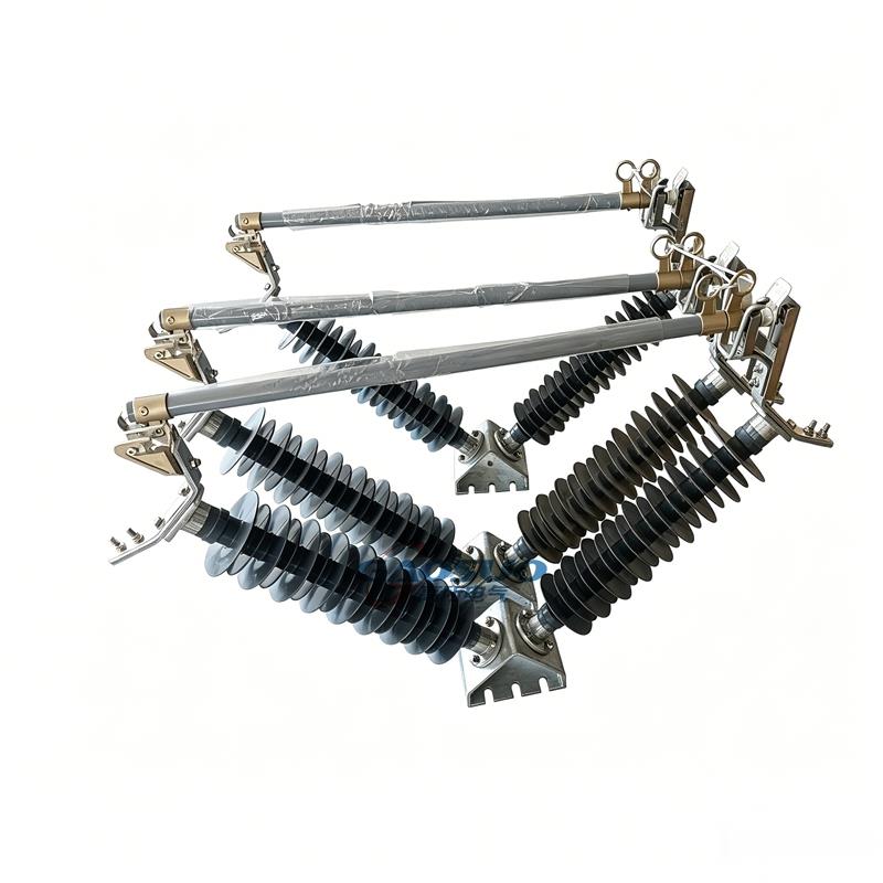 FDGW-40.5/200A防风熔断器